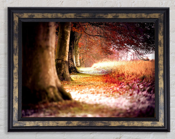 Beech Autumn Trees Framed Print