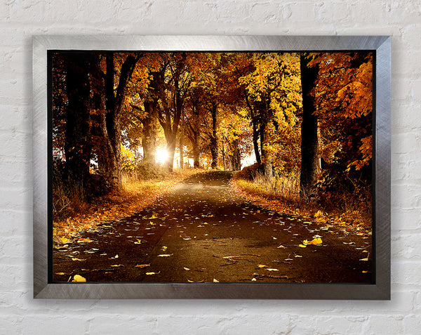 Autumn Breeze Framed Print
