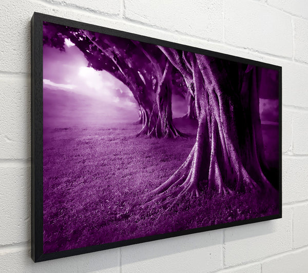 Purple Forest