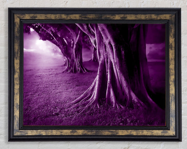 Purple Forest Framed Print