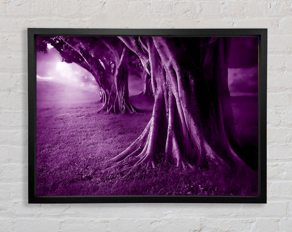 Purple Forest Framed Print