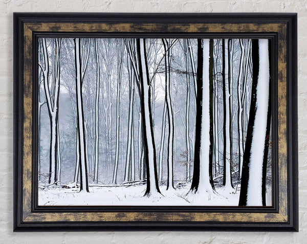 Forest Snow Trees Framed Print
