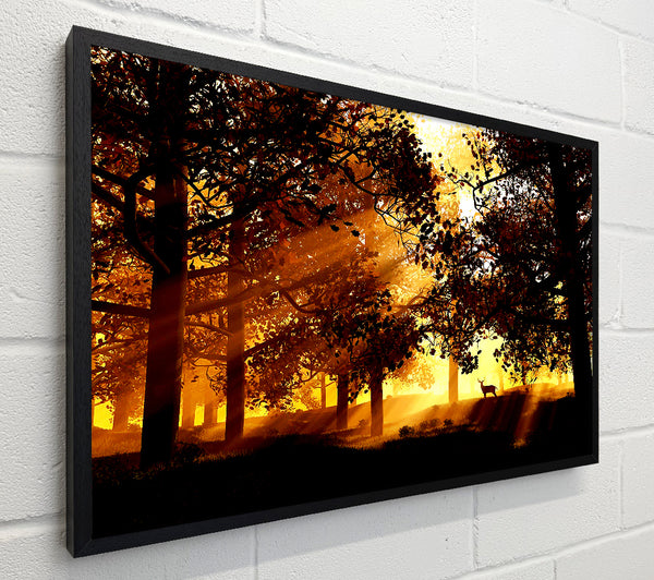 Sunrays Through The Deer Forest