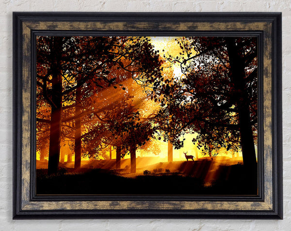 Sunrays Through The Deer Forest Framed Print