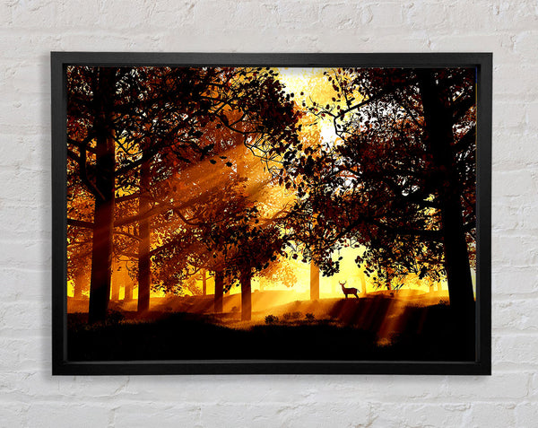 Sunrays Through The Deer Forest Framed Print