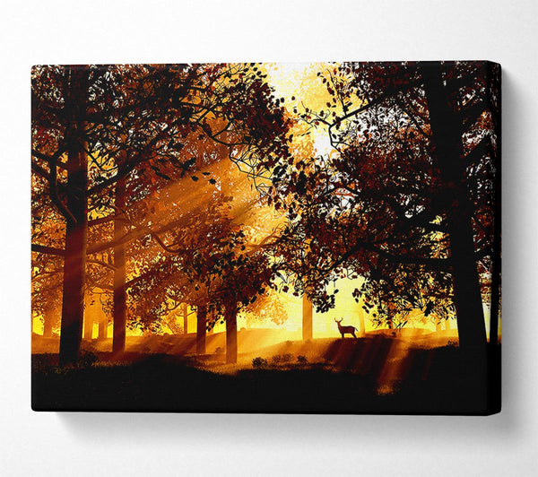 Sunrays Through The Deer Forest