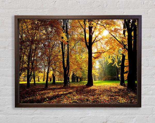 Autumn Season Framed Print