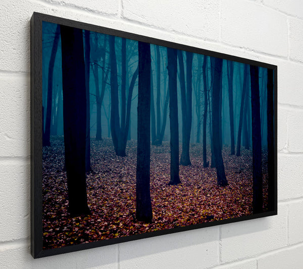 Dark Forest Mist