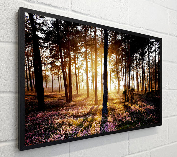 Pink Forest Beams