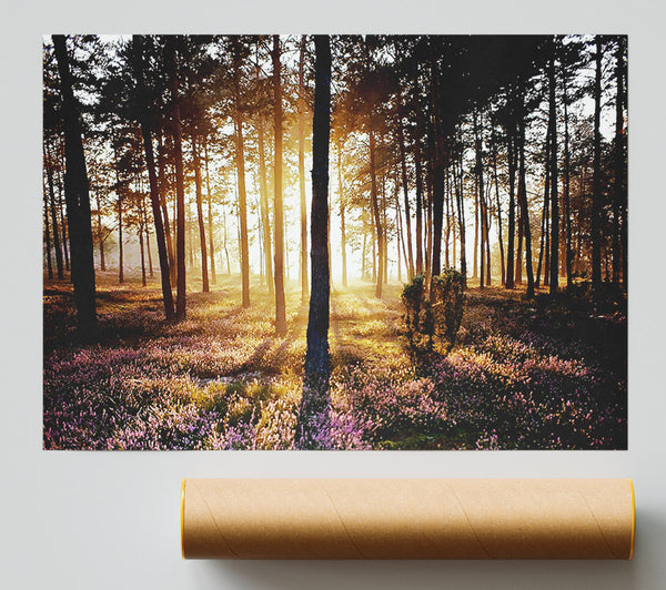 Pink Forest Beams Print