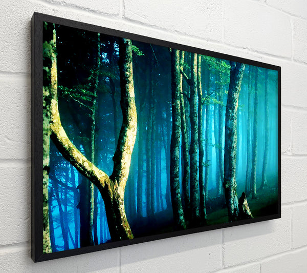 Midnight Blue Forest