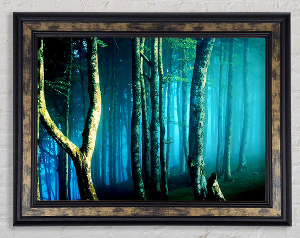 Midnight Blue Forest Framed Print