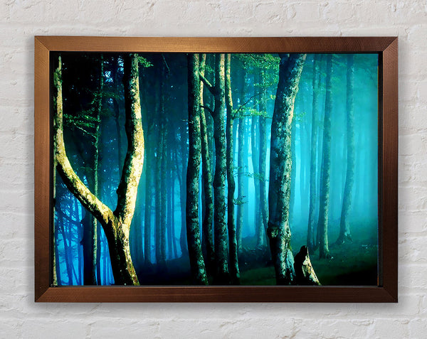Mitternachtsblauer Wald