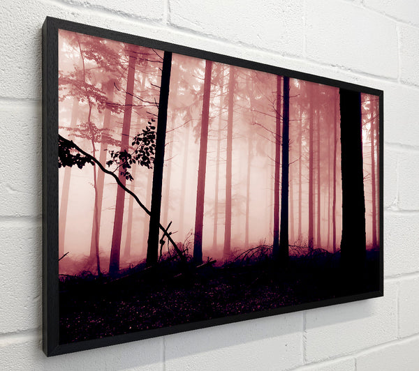 Mauve Forest Mist