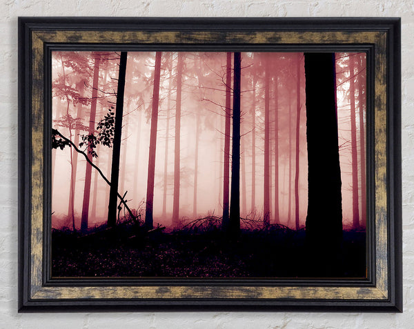 Mauve Forest Mist Framed Print
