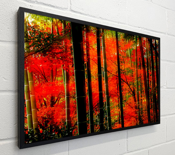Red Autumn Forest