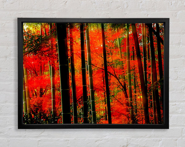 Roter Herbstwald