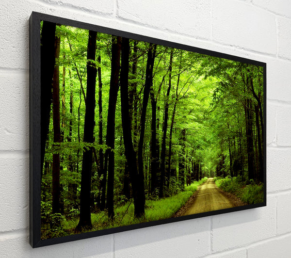Green Tree Road