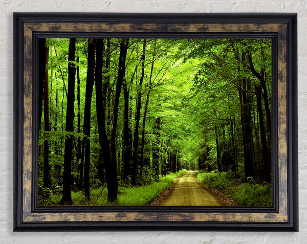 Green Tree Road Framed Print