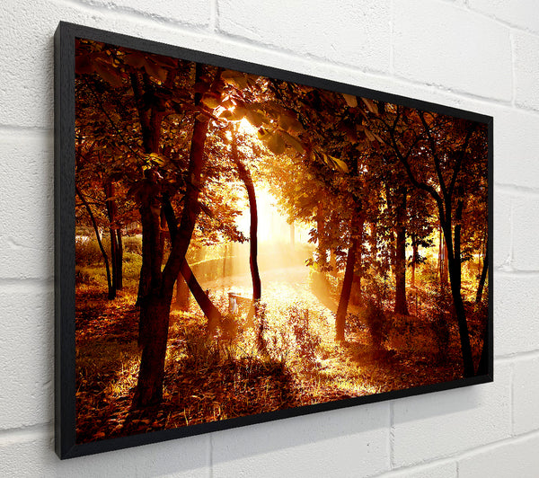 Ochre Forest