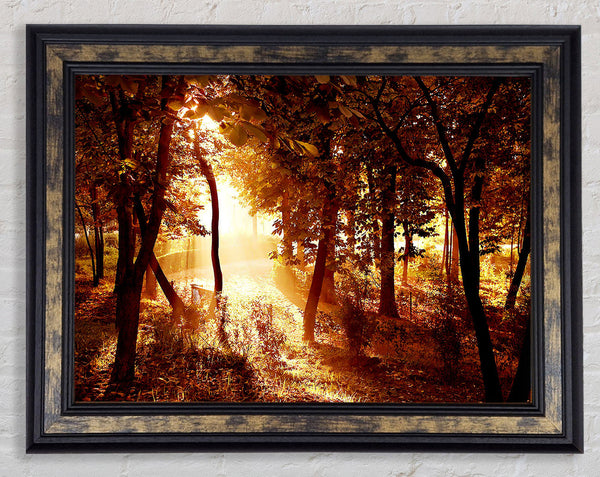 Ochre Forest Framed Print