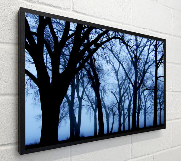 Blue Night Forest