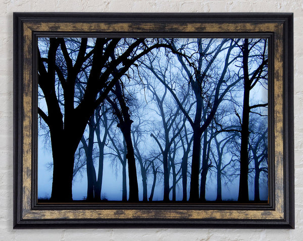 Blue Night Forest Framed Print