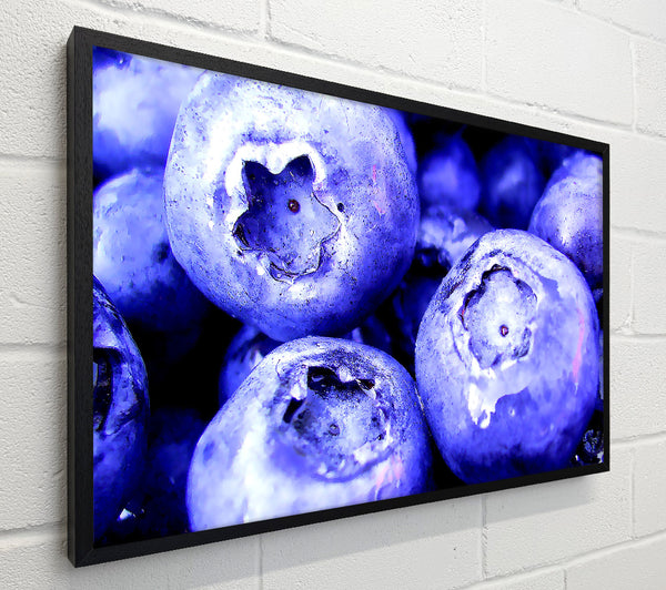 Blueberry