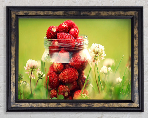 Strawberry Jar Framed Print