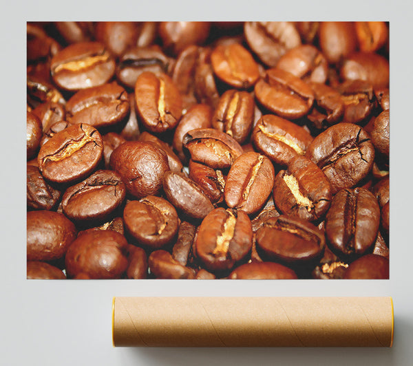 Roasted Coffee Beans Giclee Print