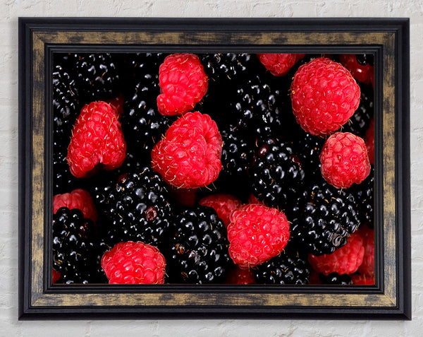 Raspberries n Blackberries Framed Print