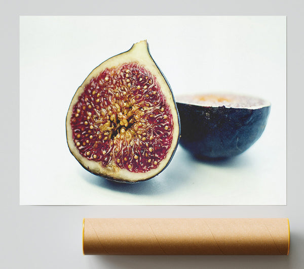 Figs Giclee Print