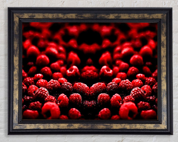 Raspberry Galour Framed Print