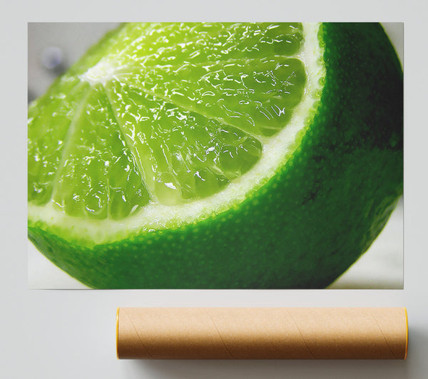Lime Wedge Print