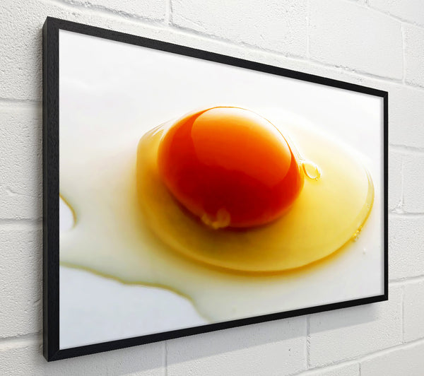 Single Egg