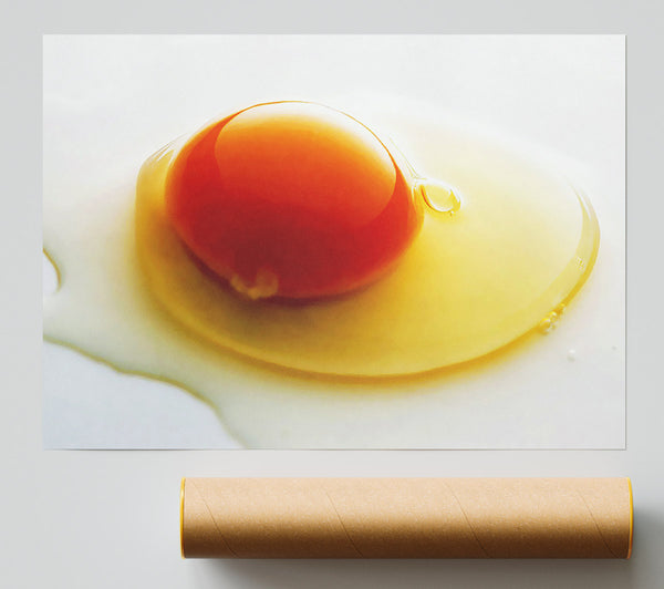 Single Egg Poster