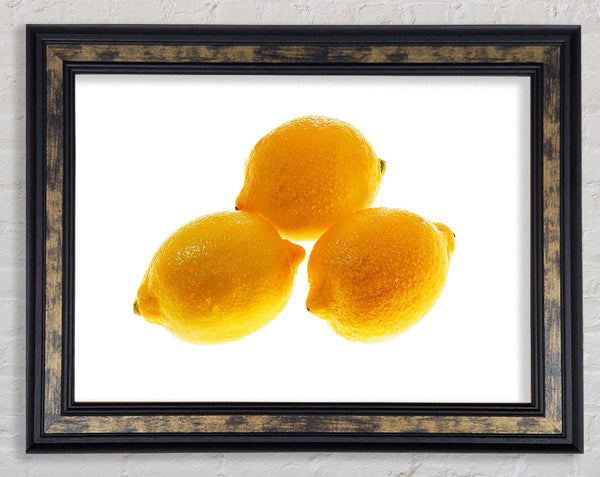 Trio Of Lemons Framed Print
