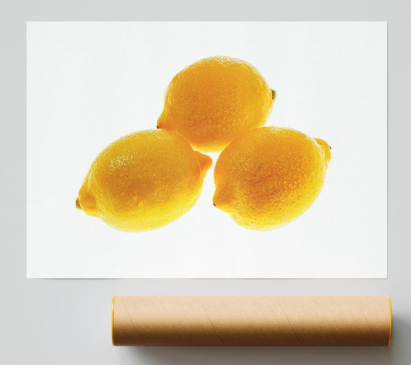 Trio Of Lemons Giclee Print