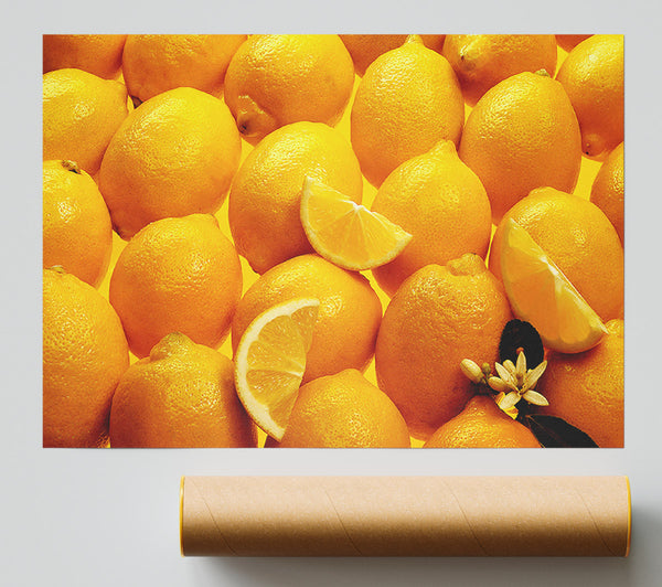 Lemons Giclee Print