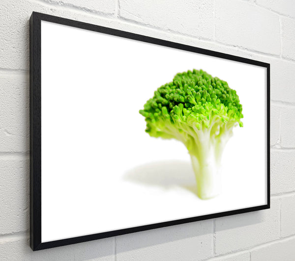 Brocolli Stem