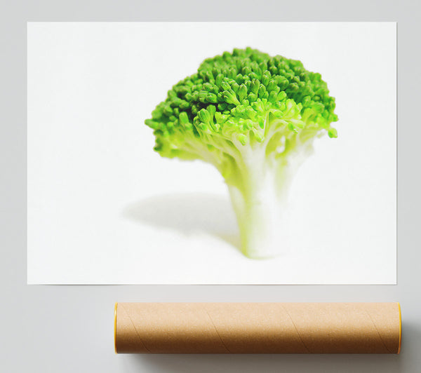 Brocolli Stem Poster