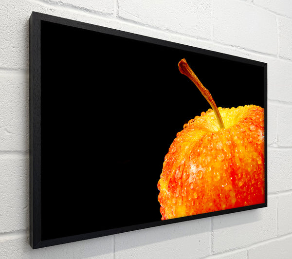 Red Delicious Apple