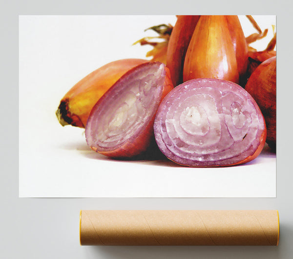 Onion Affair Giclee Print