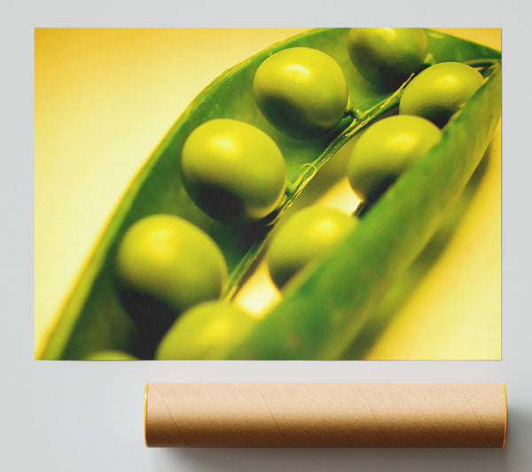 Pea Pod Print