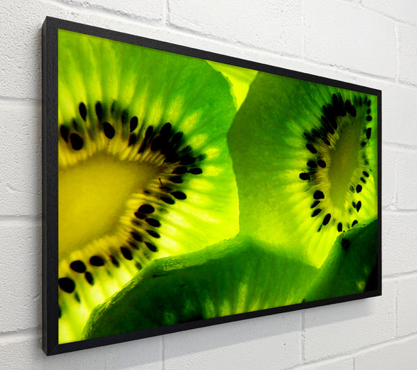 Kiwi Close-Up