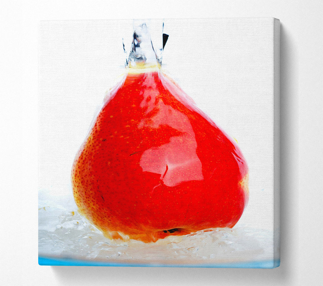  A Canvas Print of Red Pair Cascade Canvas Print