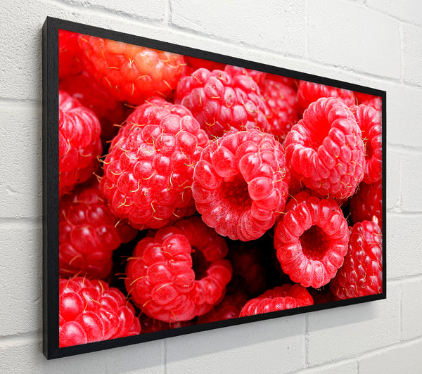 Raspberry Delight