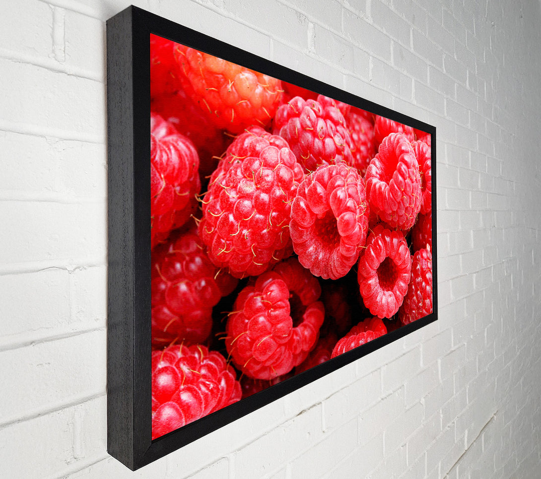  A Canvas Print of Raspberry Delight Canvas Print