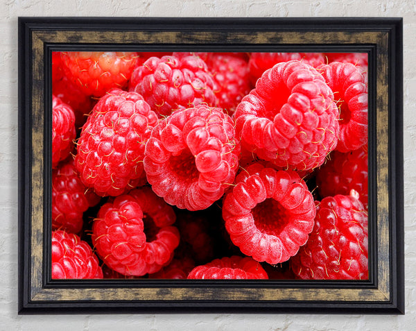 Raspberry Delight Framed Print