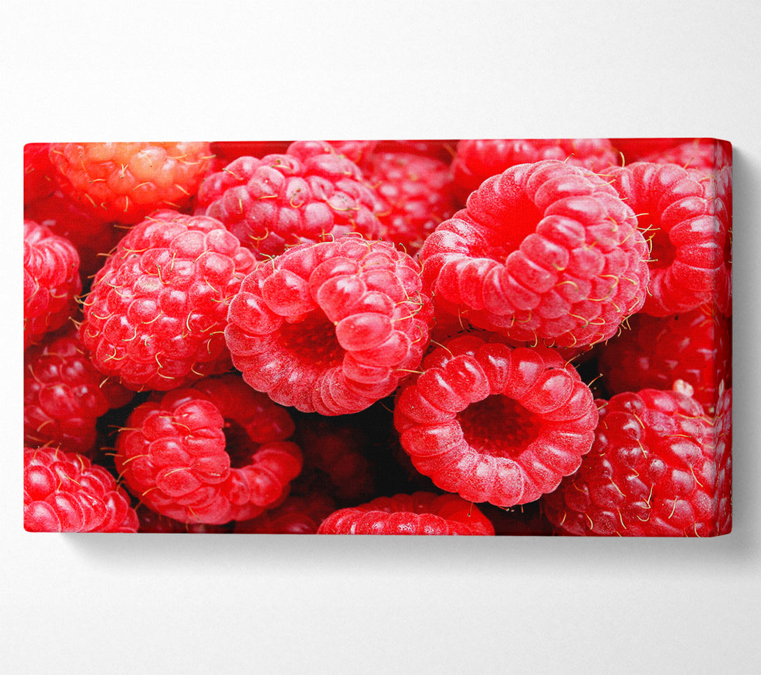  A Canvas Print of Raspberry Delight Canvas Print